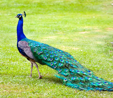 Nature 공작반상회