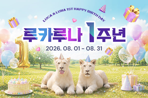 루카루나 1주년 이벤트
